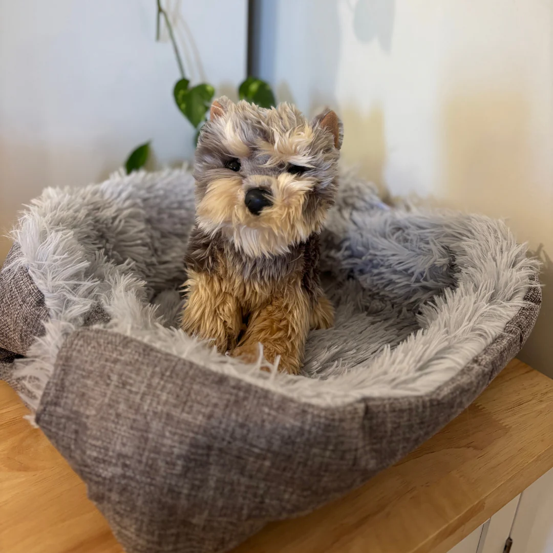 2-in-1 Foldable Pet Bed - Image 5