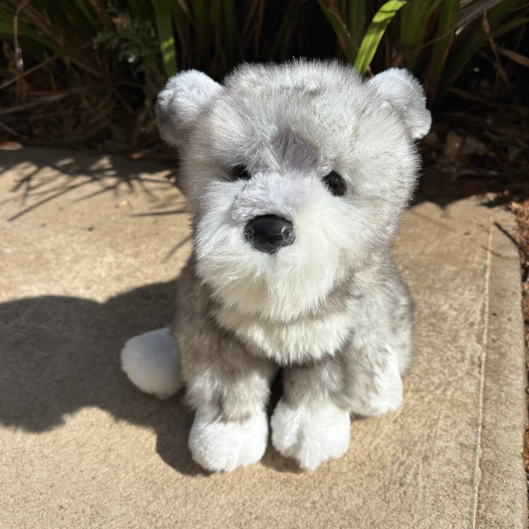 Arnold Schnauzer | Douglas Dog | 11" - Image 4