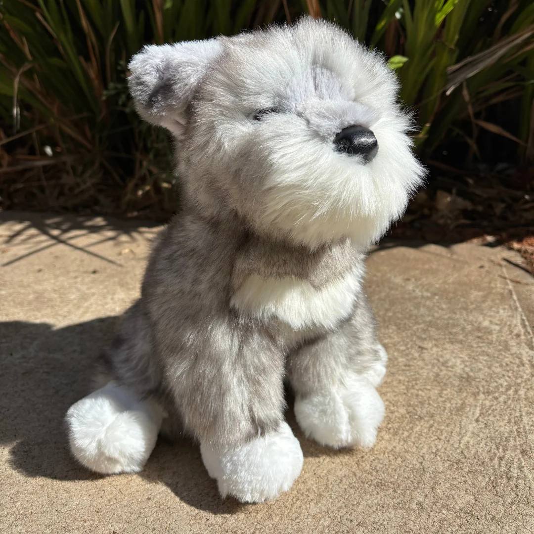 Arnold Schnauzer | Douglas Dog | 11" - Image 5