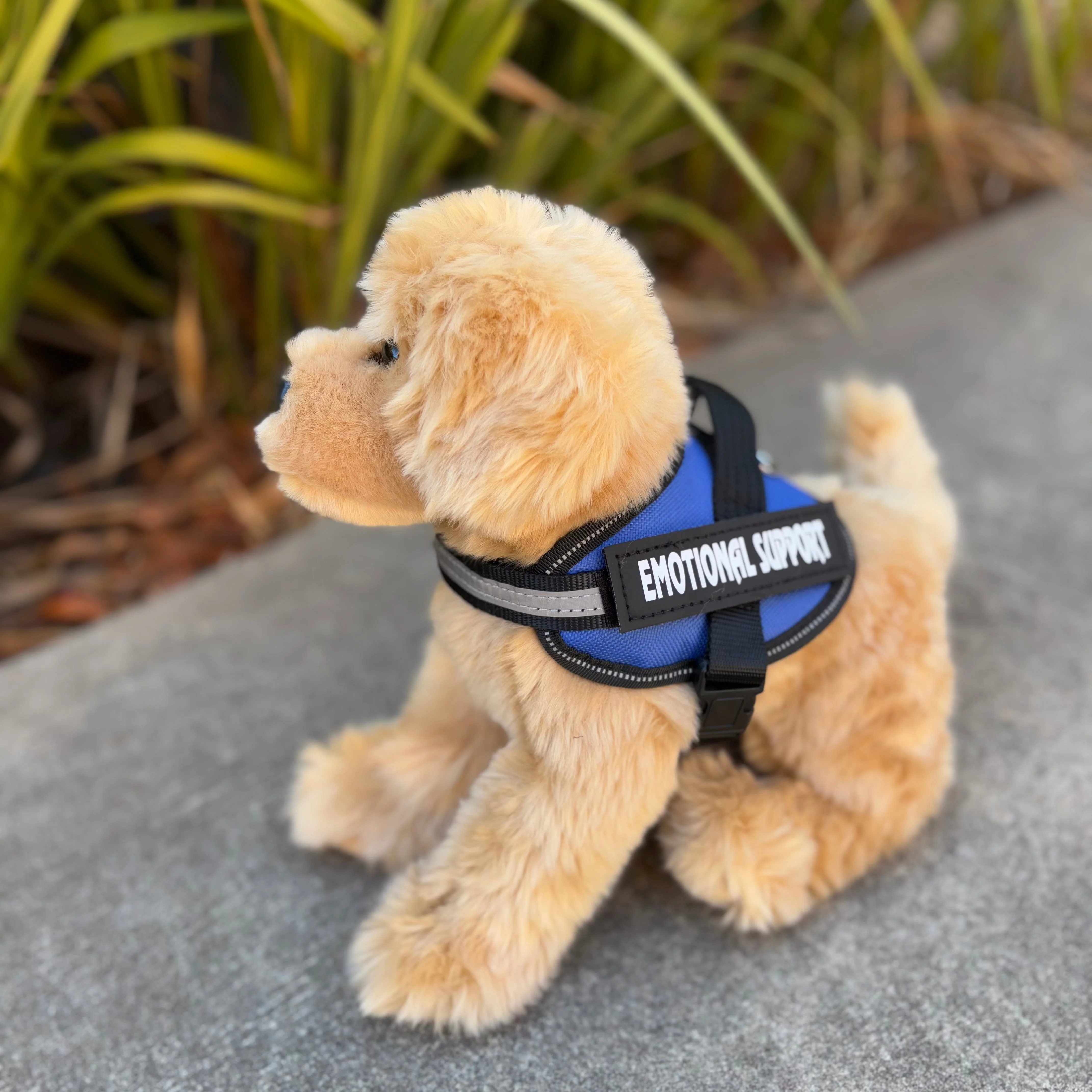 Bella Golden Retriever | Douglas Dog | 16" - Image 3