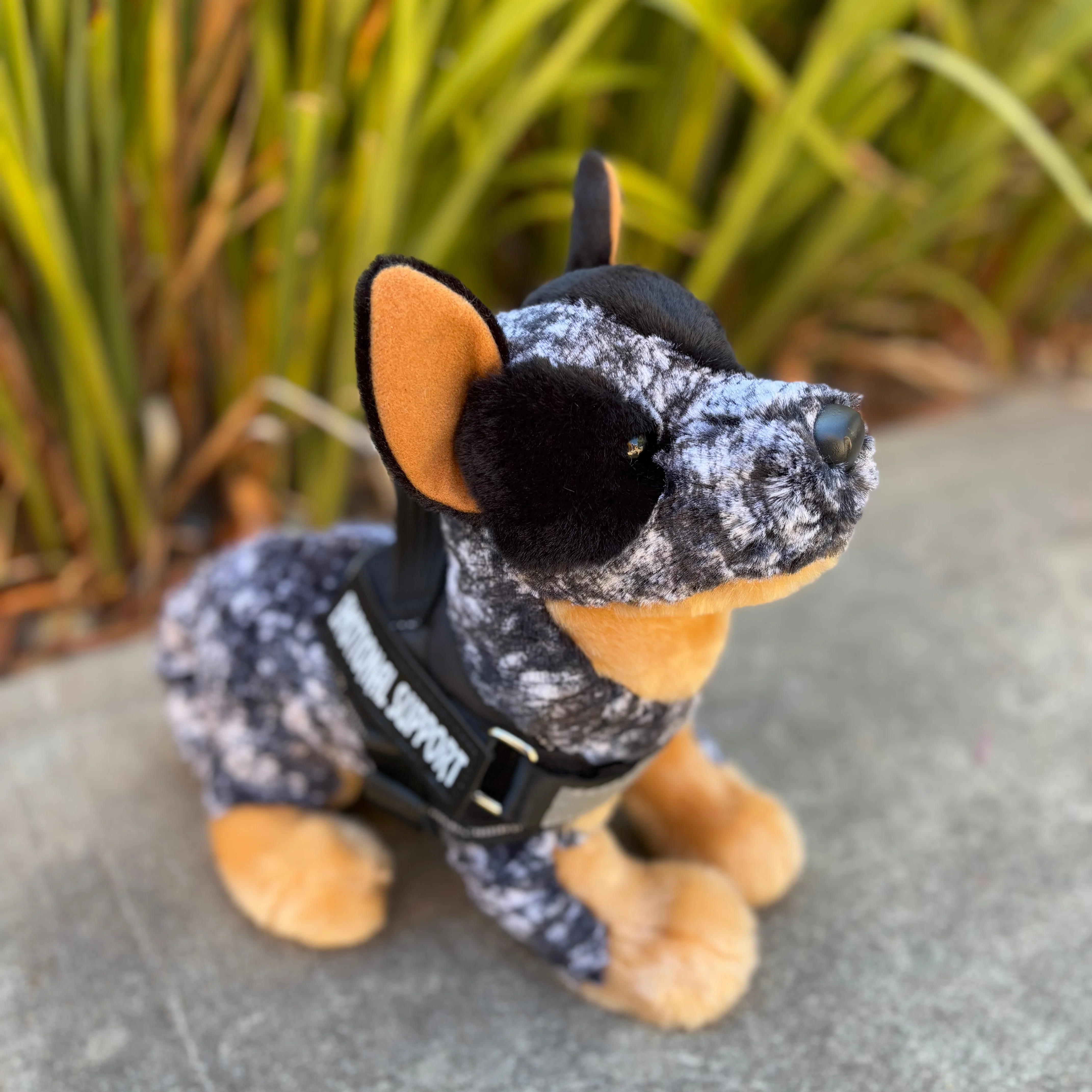 Bolt Australian Cattle Dog | Douglas Dog | 16" - Image 3