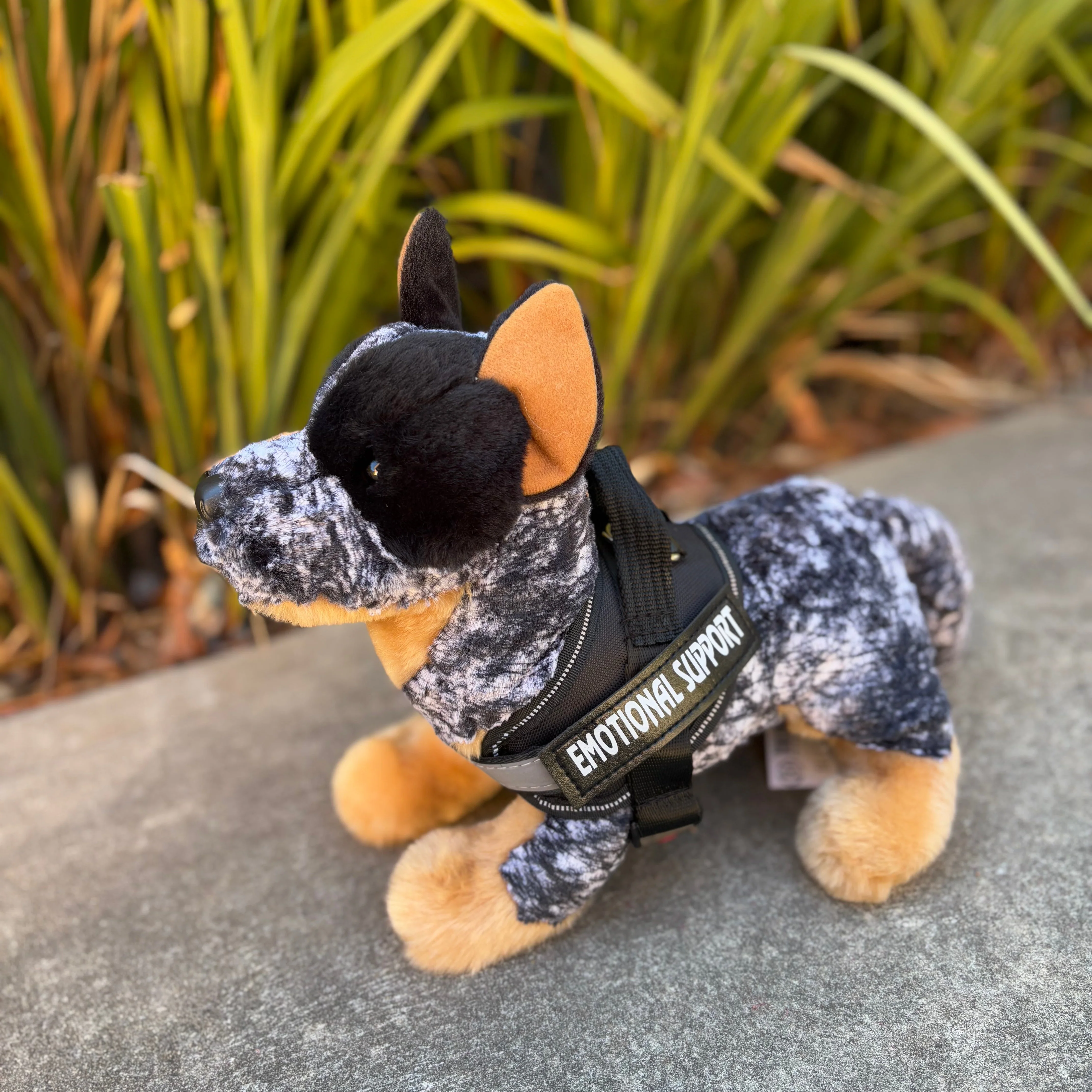 Bolt Australian Cattle Dog | Douglas Dog | 16" - Image 5