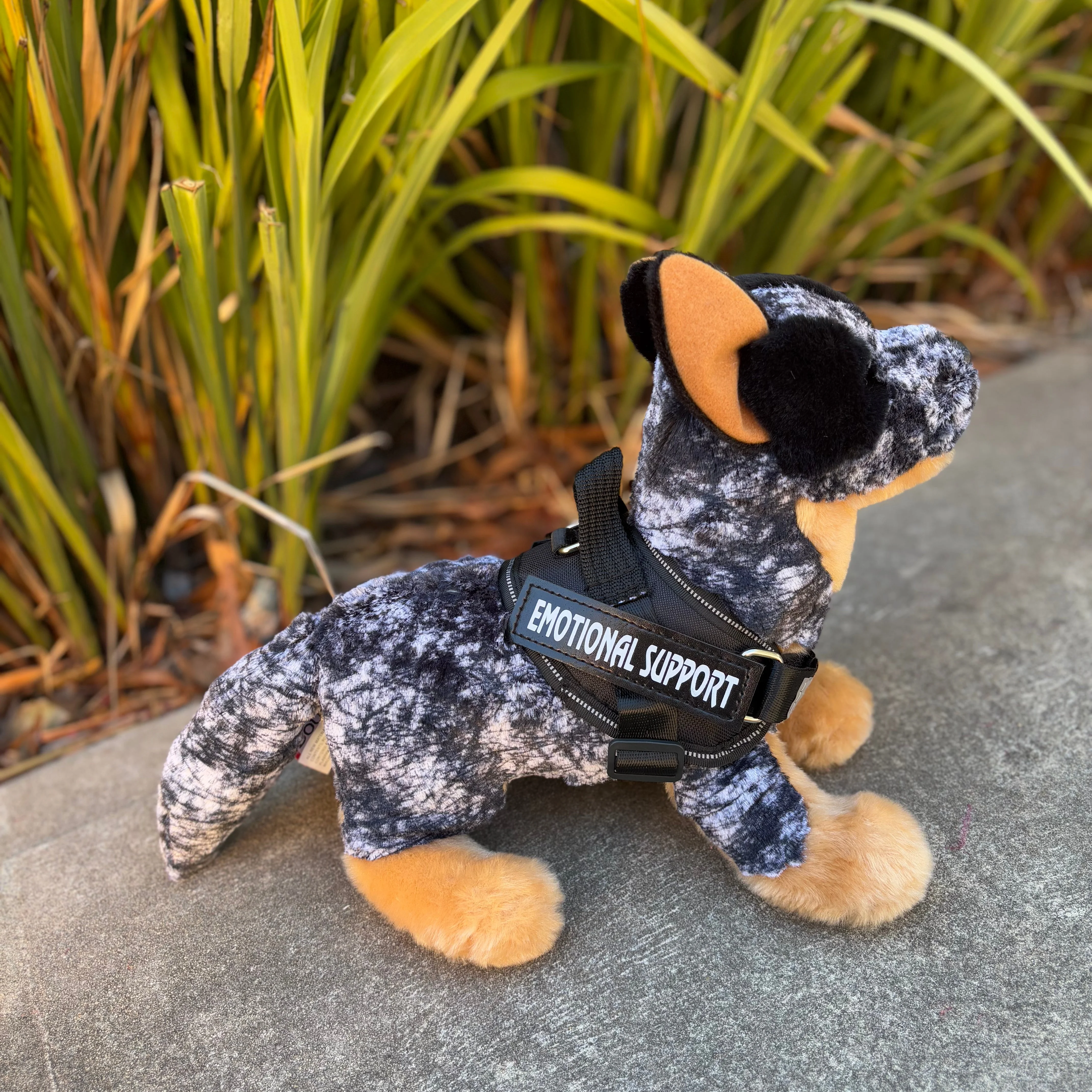 Bolt Australian Cattle Dog | Douglas Dog | 16" - Image 6