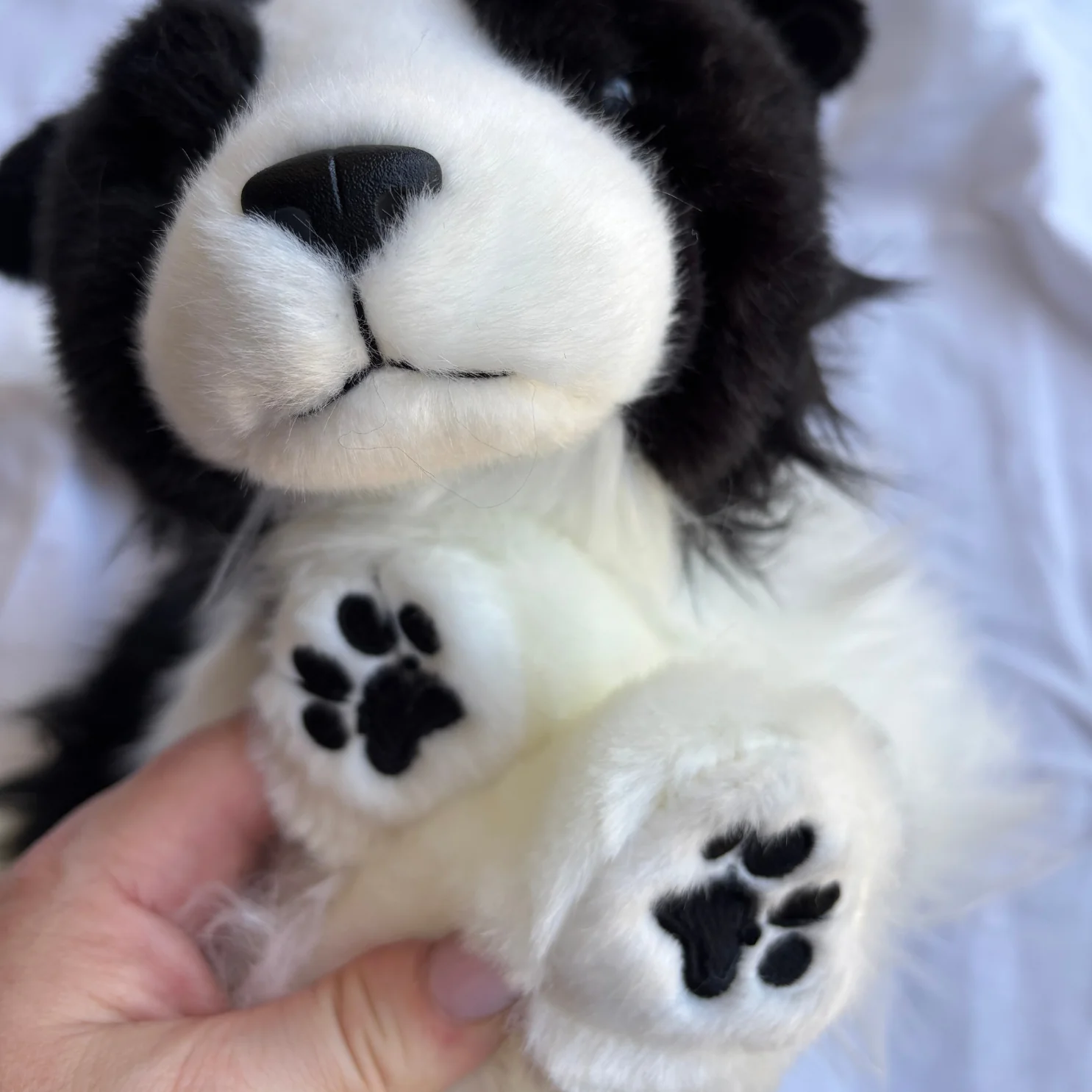 Brave Border Collie | Little Paws Plushies | Little Paws - Image 3