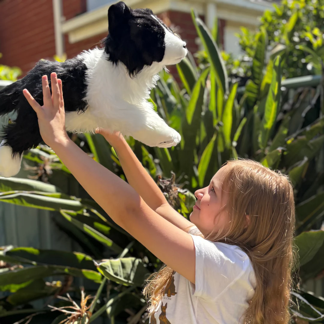 Brave Border Collie | Little Paws Plushies | Little Paws - Image 4