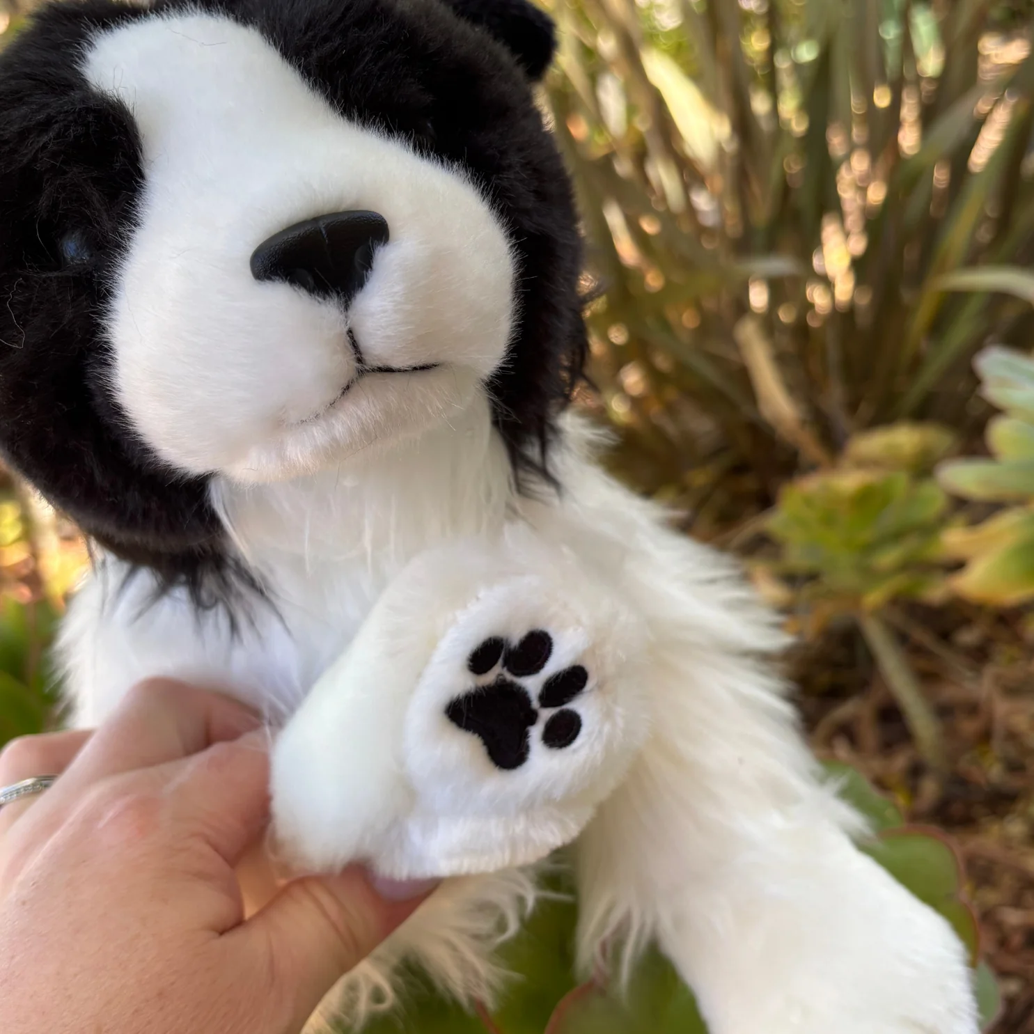 Brave Border Collie | Little Paws Plushies | Big Paws - Image 3