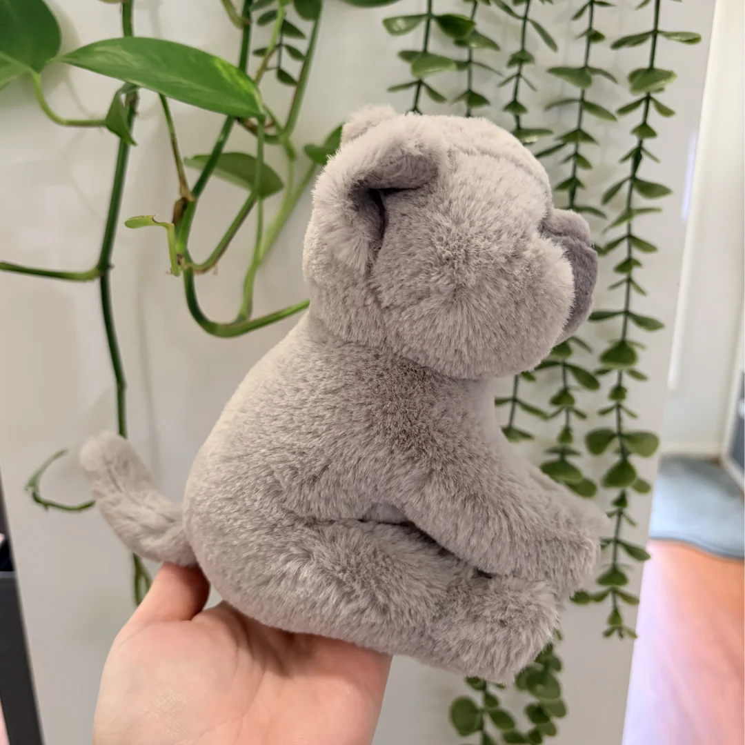 Brittish Shorthair Kitten | Living Nature | Plushie - Image 3