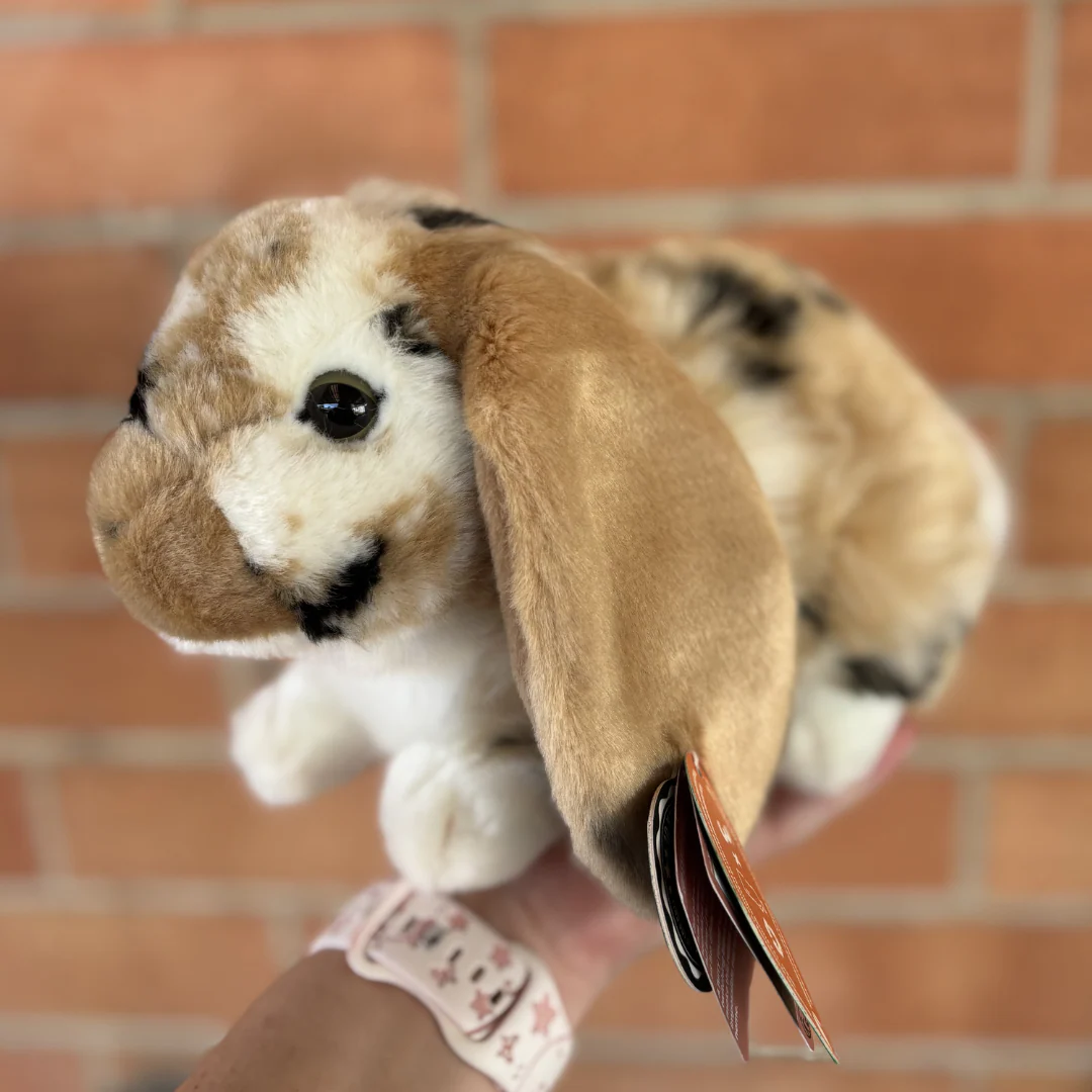 Brown Lop Rabbit | Living Nature | Plushie - Image 4