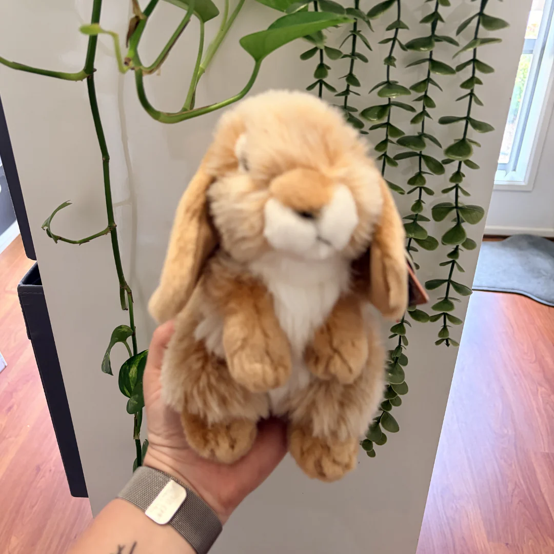 Brown Sitting Lop Rabbit | Living Nature | Plushie - Image 3