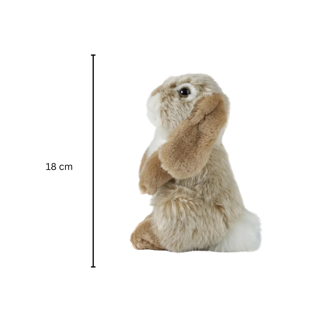 Brown Sitting Lop Rabbit | Living Nature | Plushie - Image 5