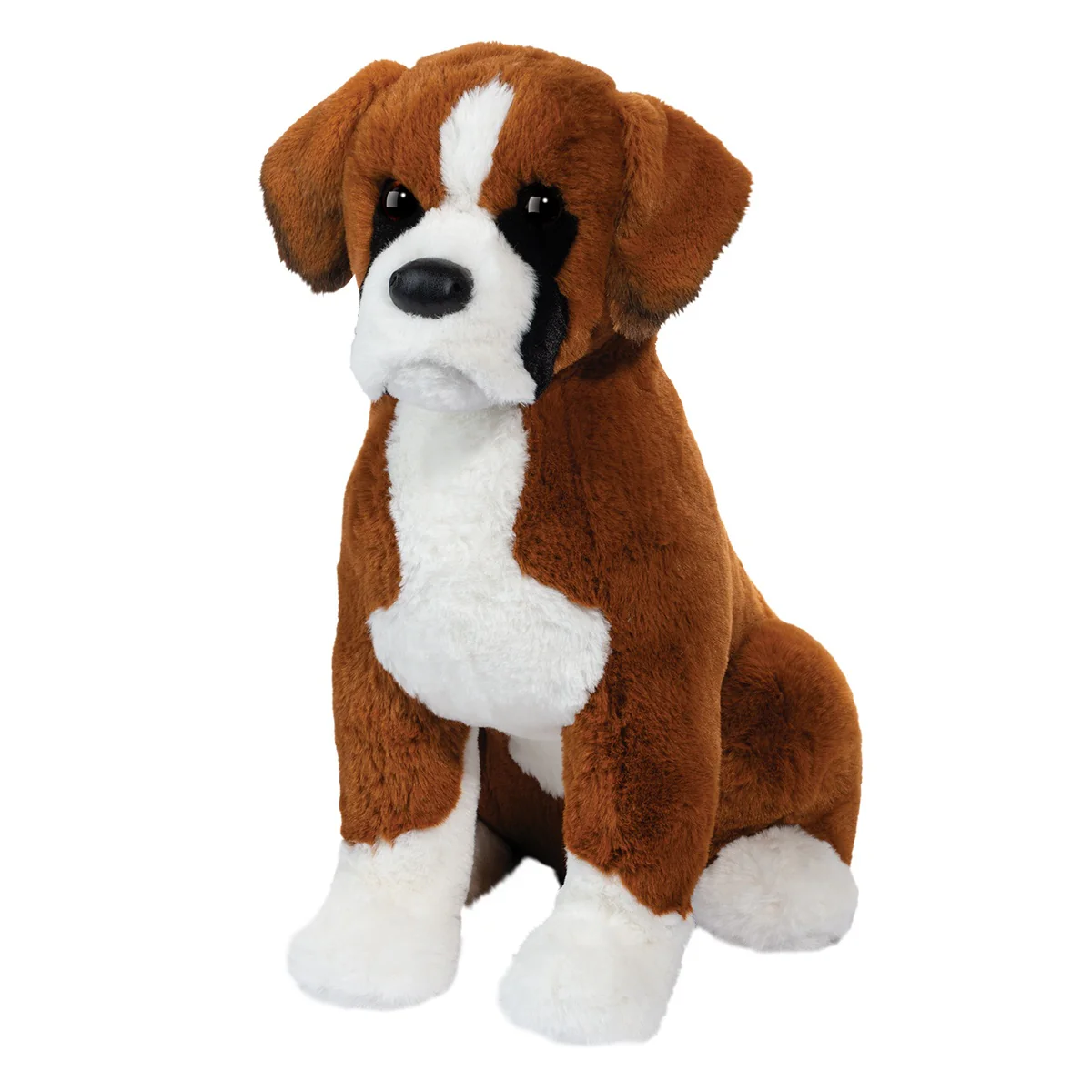 Chance Boxer | Douglas Dog | DLux