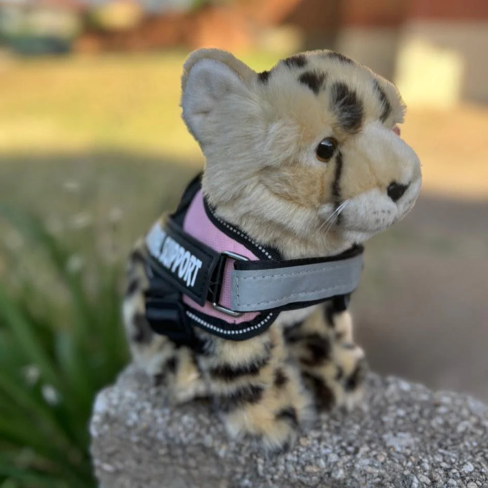 Cheetah Plush | Living Nature | Plushie - Image 3