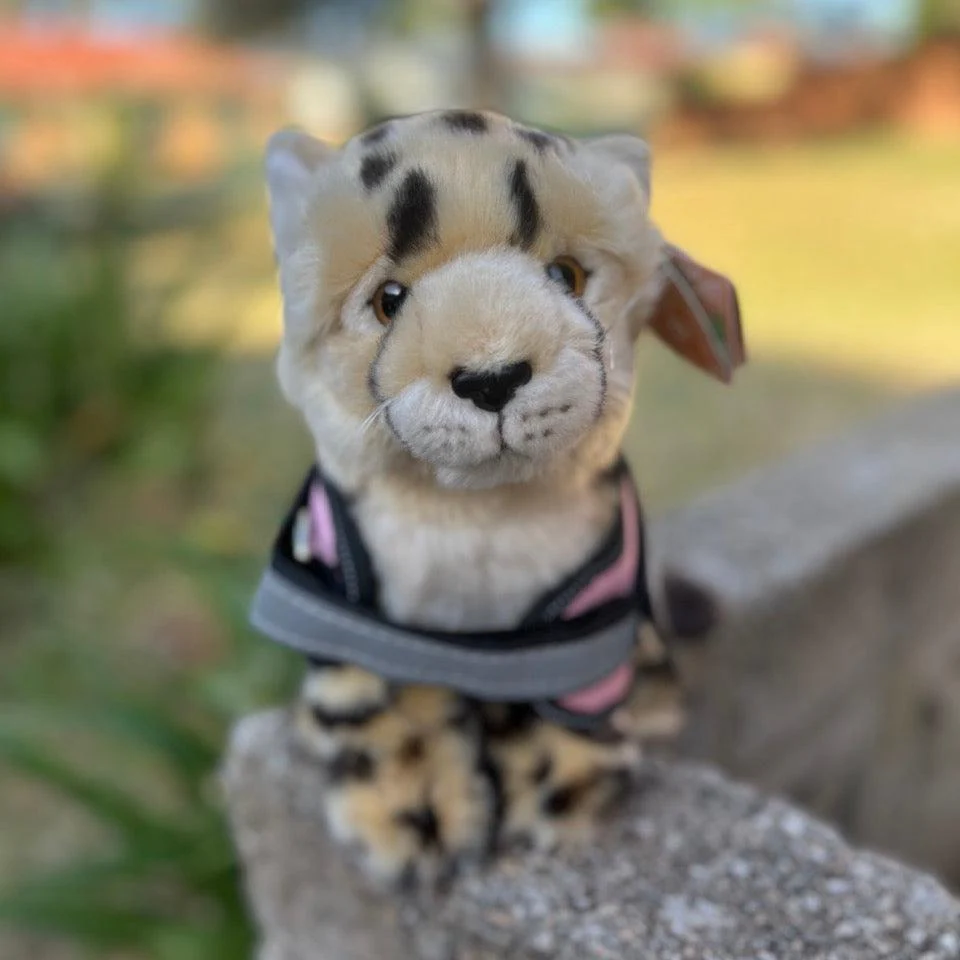 Cheetah Plush | Living Nature | Plushie - Image 4