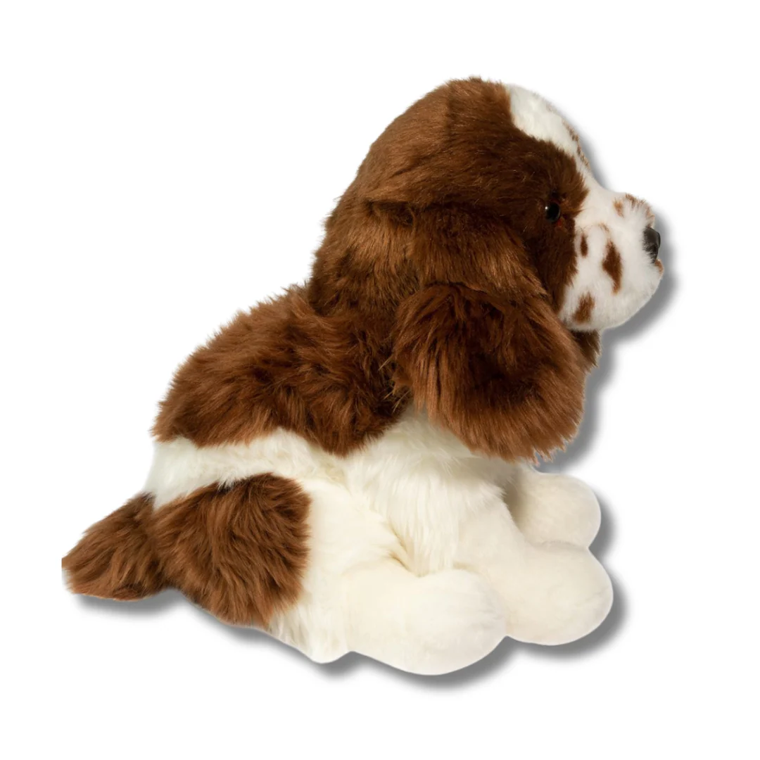 Chip Springer Spaniel | Douglas Dog | 12" - Image 3