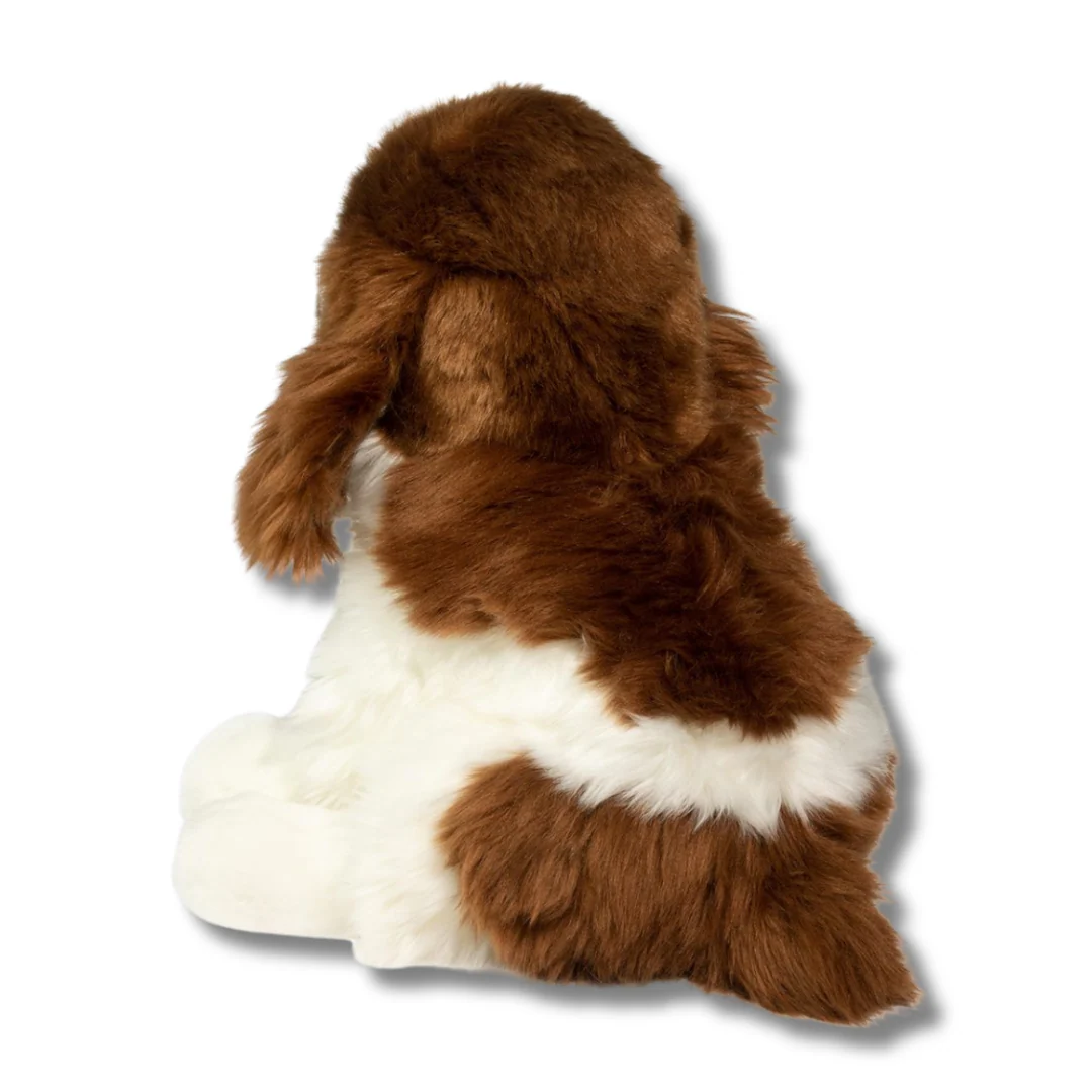 Chip Springer Spaniel | Douglas Dog | 12" - Image 4
