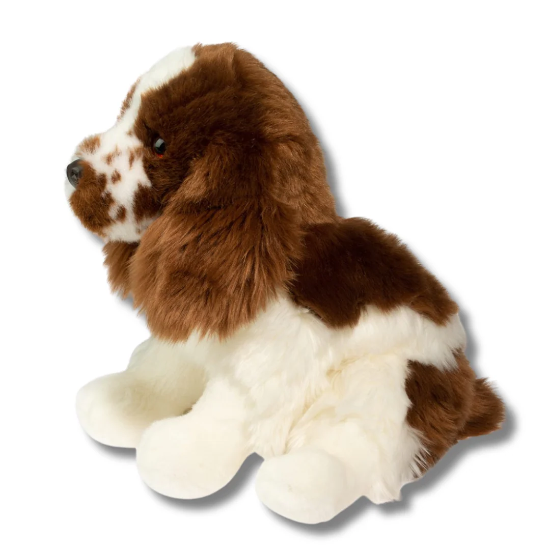 Chip Springer Spaniel | Douglas Dog | 12" - Image 5