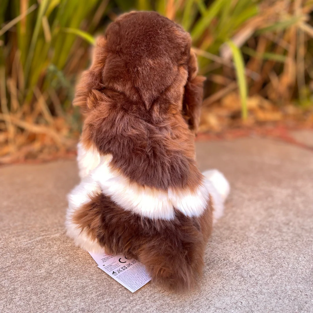 Chip Springer Spaniel | Douglas Dog | 12" - Image 6