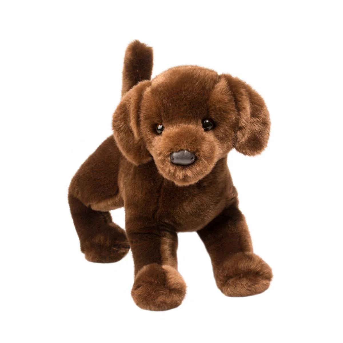 Cocoa Chocolate Lab | Douglas Dog | 16"