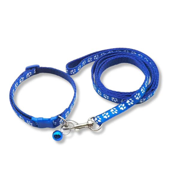 Collar & Leash Set | Assorted Colours | ESSA Gear - Image 16