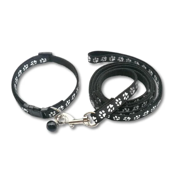 Collar & Leash Set | Assorted Colours | ESSA Gear - Image 18