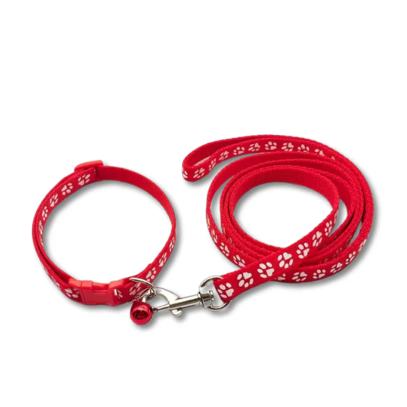 Collar & Leash Set | Assorted Colours | ESSA Gear - Image 19