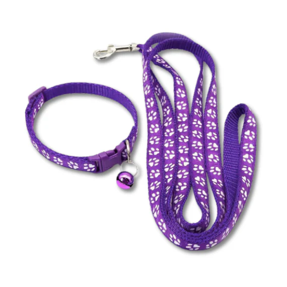 Collar & Leash Set | Assorted Colours | ESSA Gear - Image 4