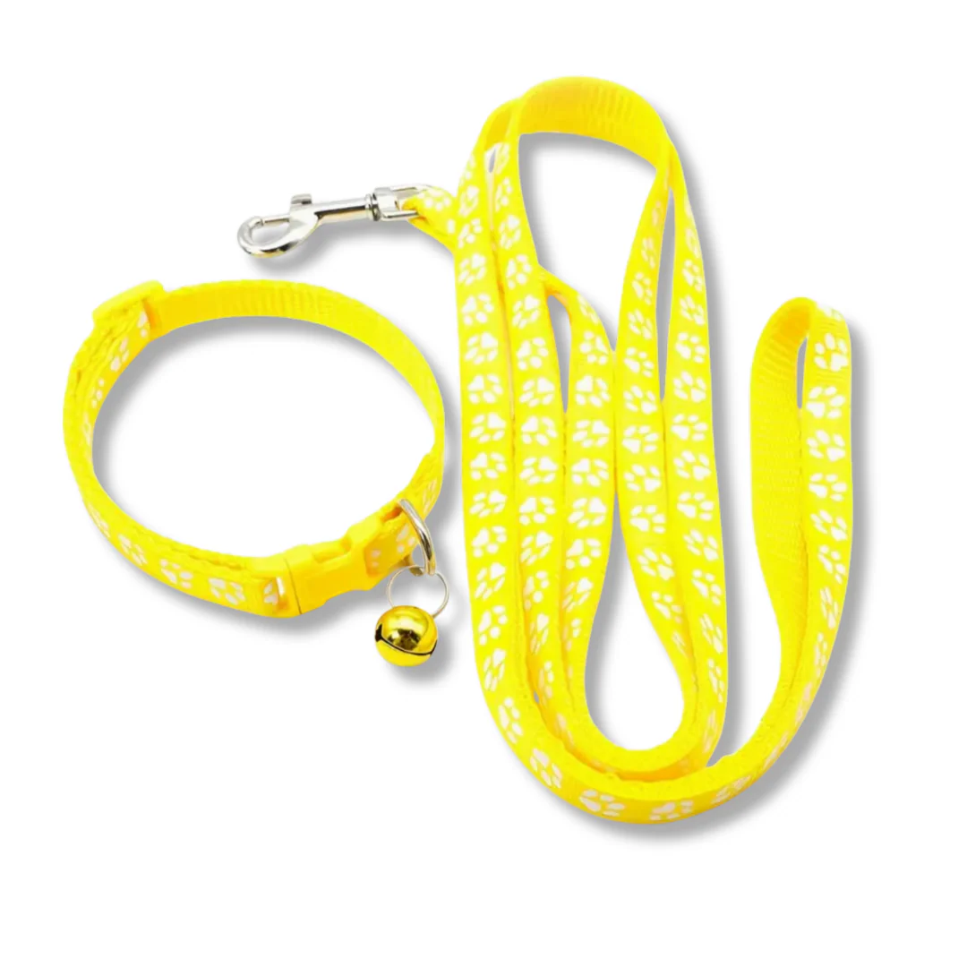 Collar & Leash Set | Assorted Colours | ESSA Gear - Image 5
