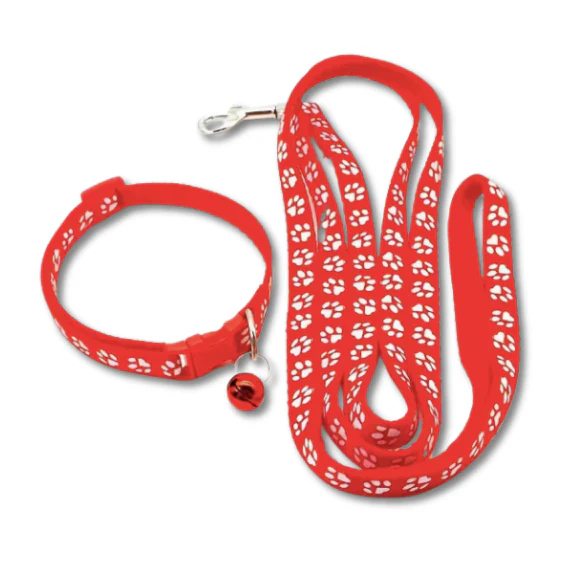 Collar & Leash Set | Assorted Colours | ESSA Gear - Image 7