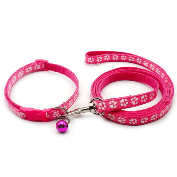 Collar & Leash Set | Assorted Colours | ESSA Gear - Image 8