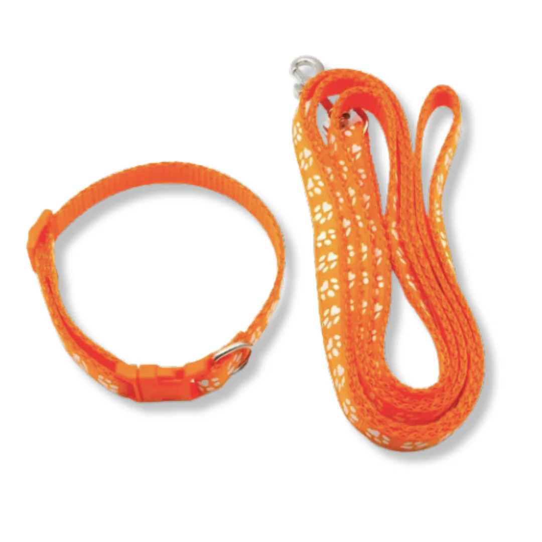Collar & Leash Set | Assorted Colours | ESSA Gear - Image 9