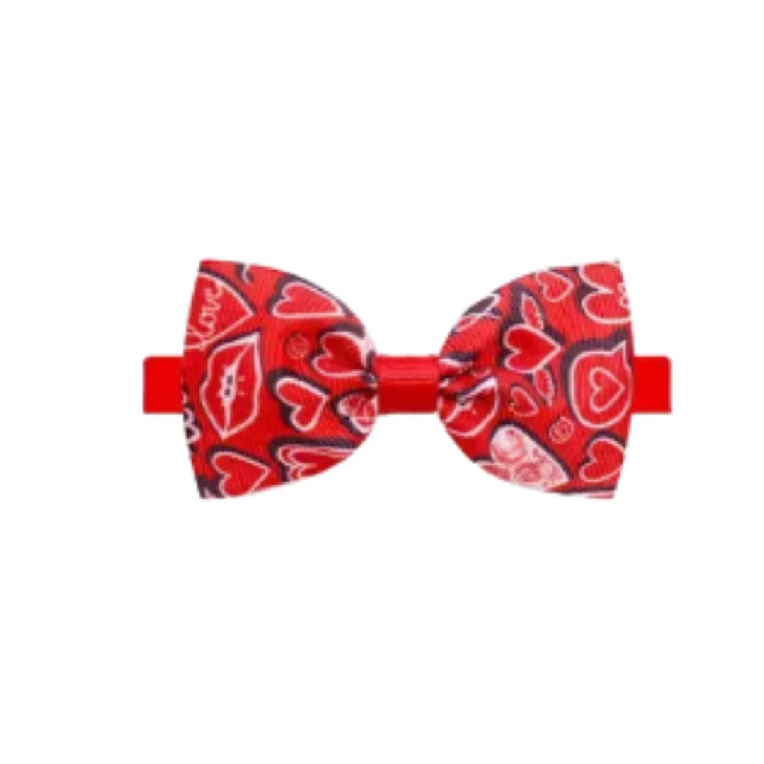 Collars | Assorted Patterns - Image 10