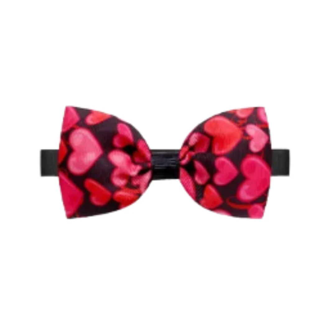 Collars | Assorted Patterns - Image 17