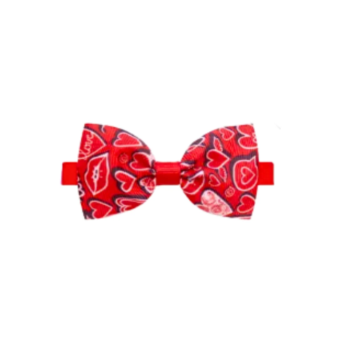 Collars | Assorted Patterns - Image 6
