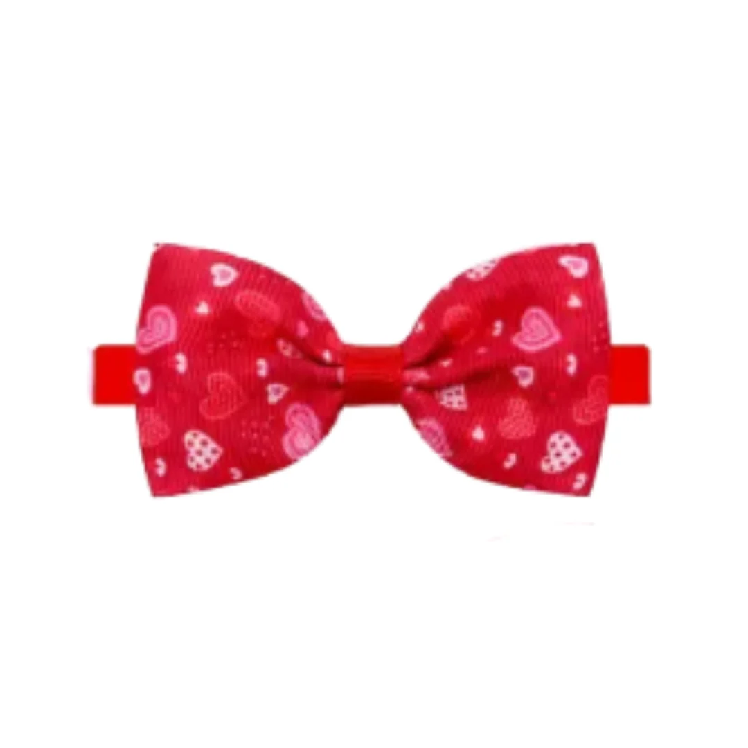 Collars | Assorted Patterns - Image 7