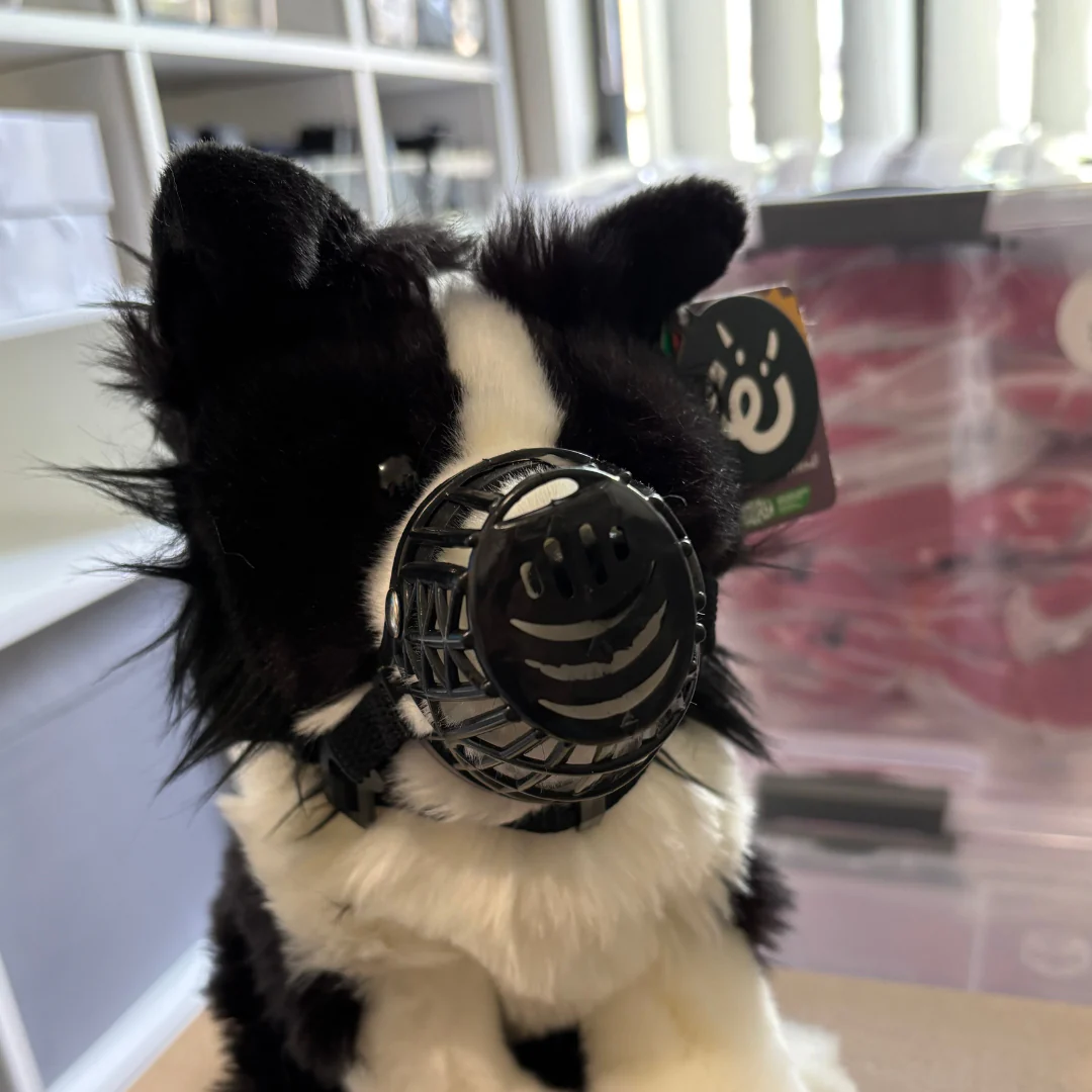Dog Muzzle | ESSA Gear - Image 2