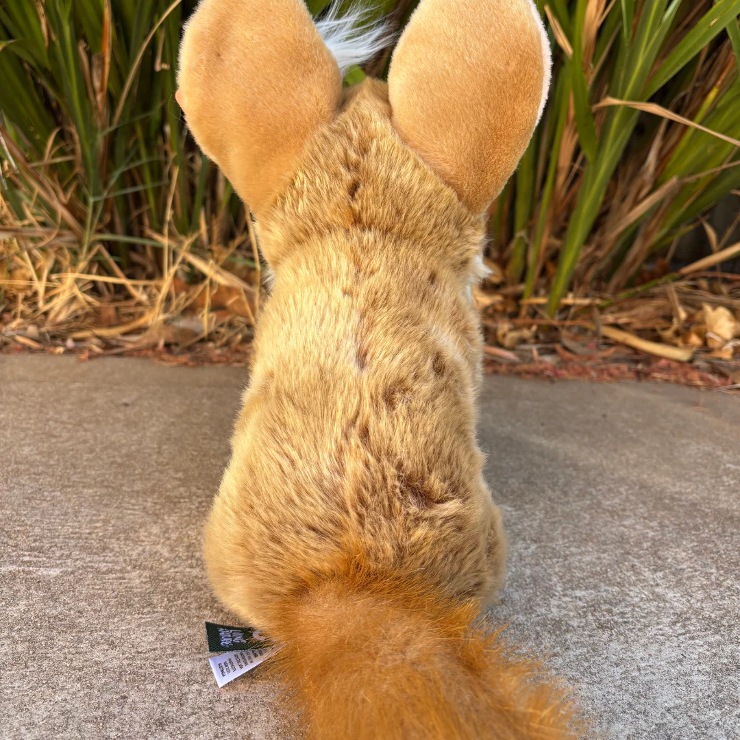Fennec Fox | Living Nature | Plushie - Image 4