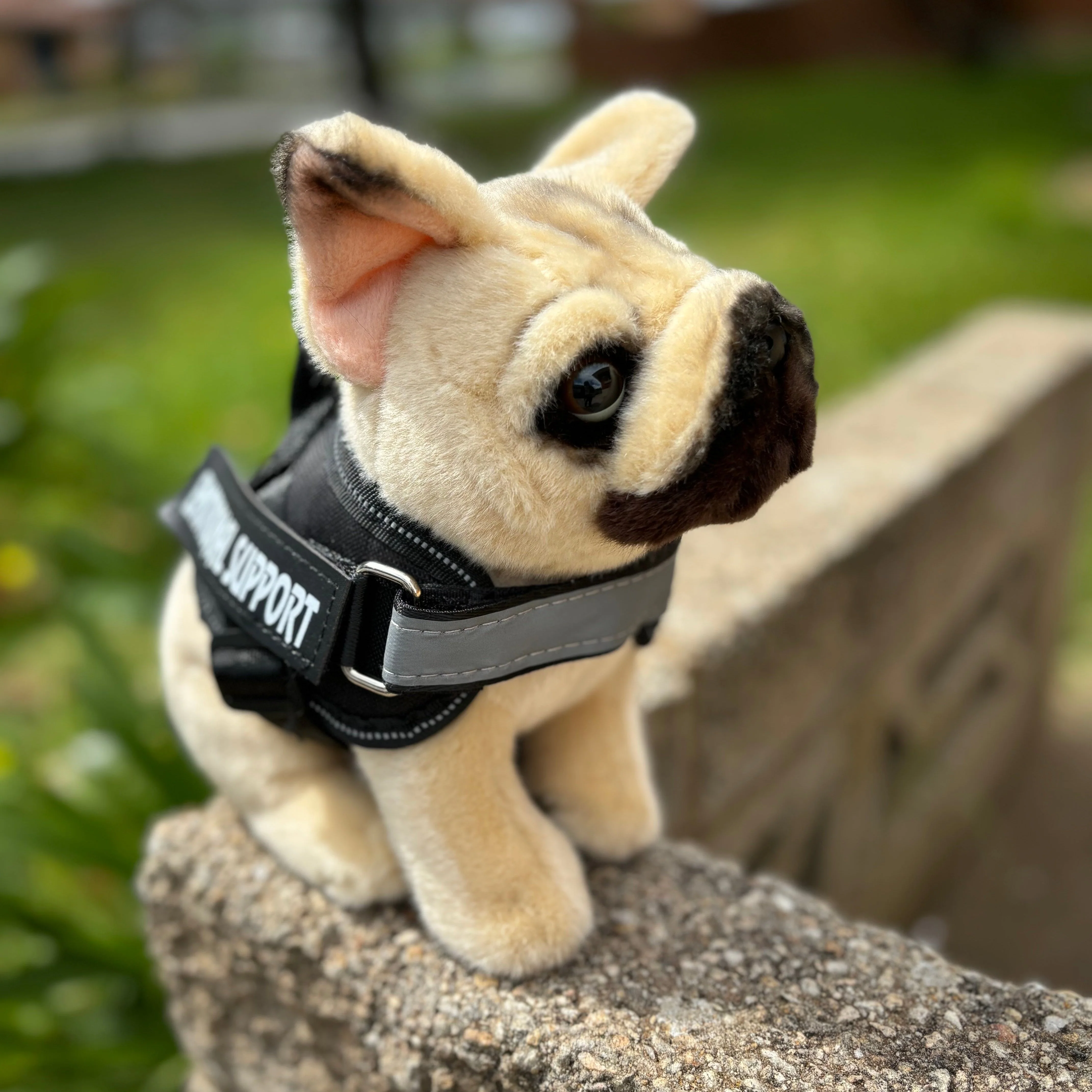 French Bulldog | Living Nature | Plushie - Image 3