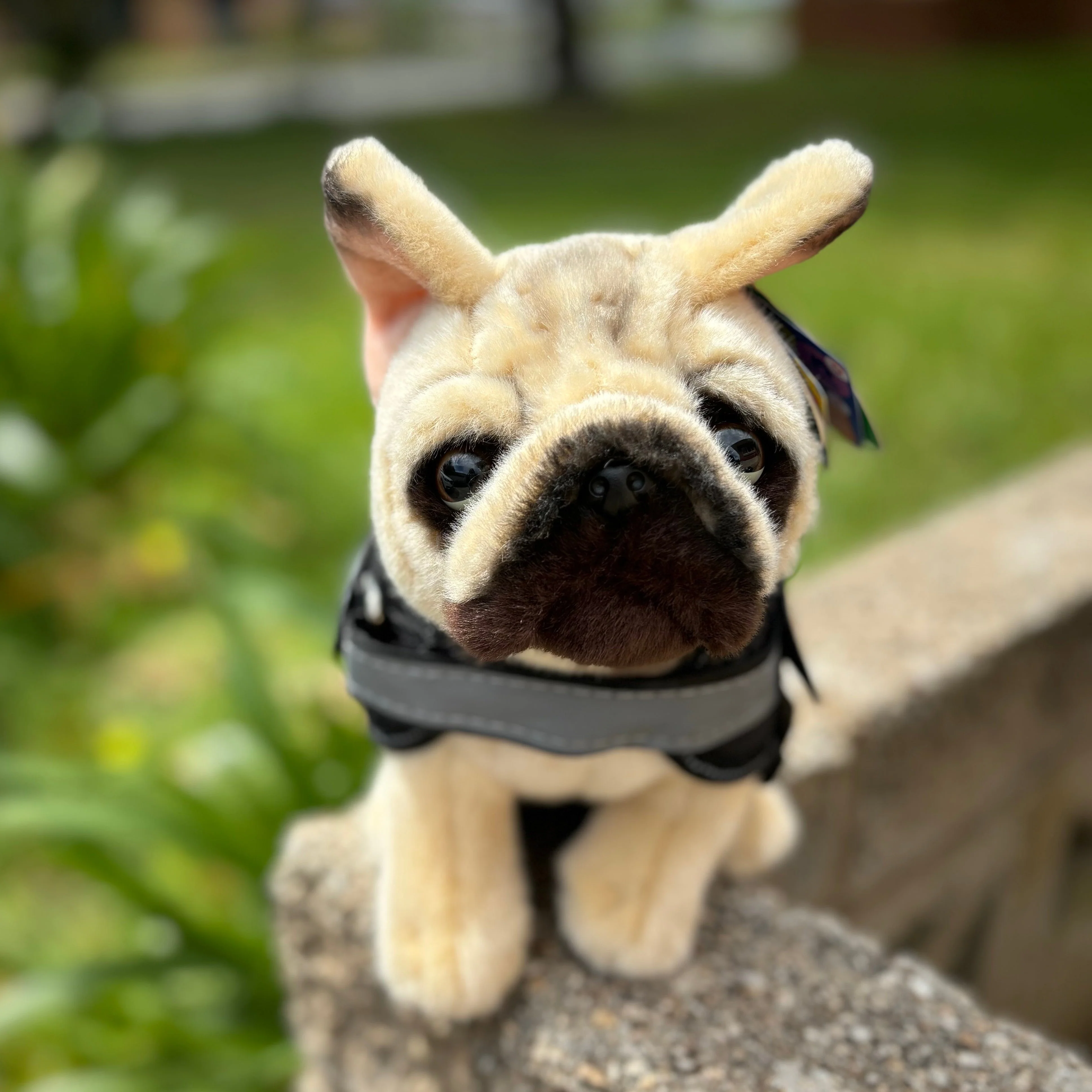 French Bulldog | Living Nature | Plushie - Image 4