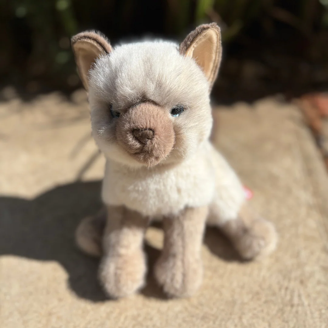 Fu Siamese Cat | Douglas Cat | 9" - Image 4