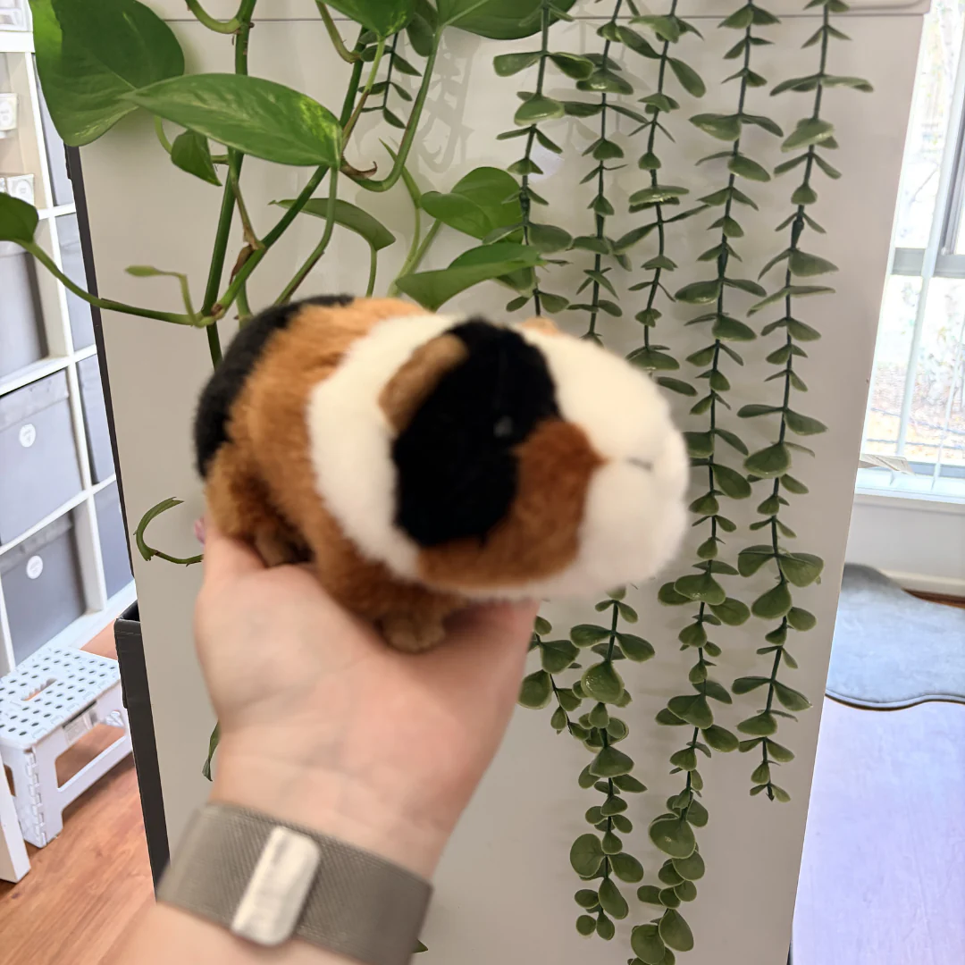 Guinea Pig | Living Nature | Plushie - Image 3