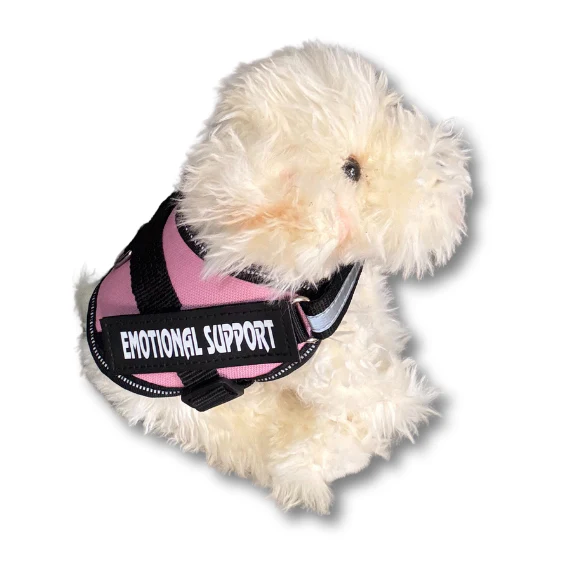 Labradoodle Dog | Living Nature | Plushie - Image 3