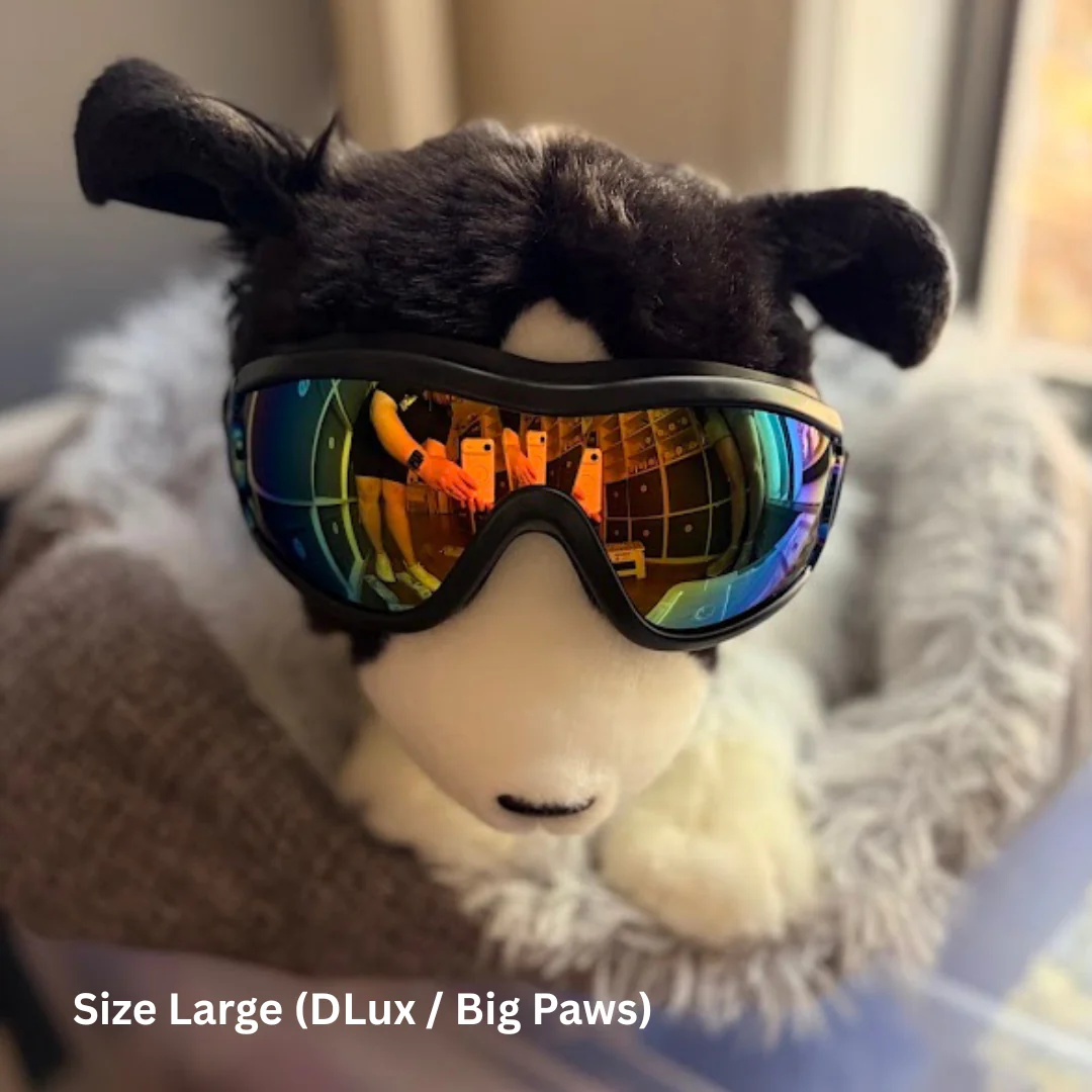 Large Goggles | Assorted Colours - Image 9