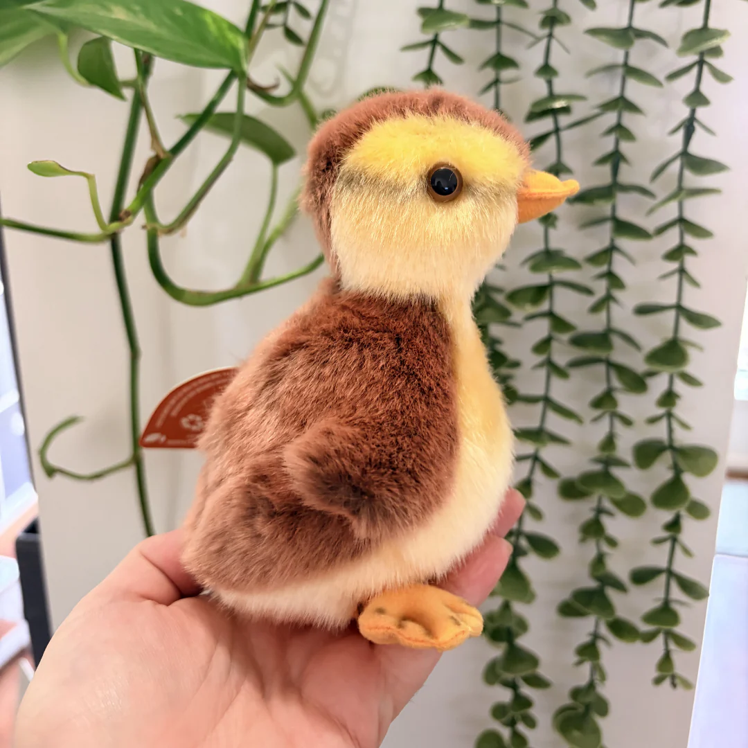 Mallard Duckling | Living Nature | Plushie - Image 3