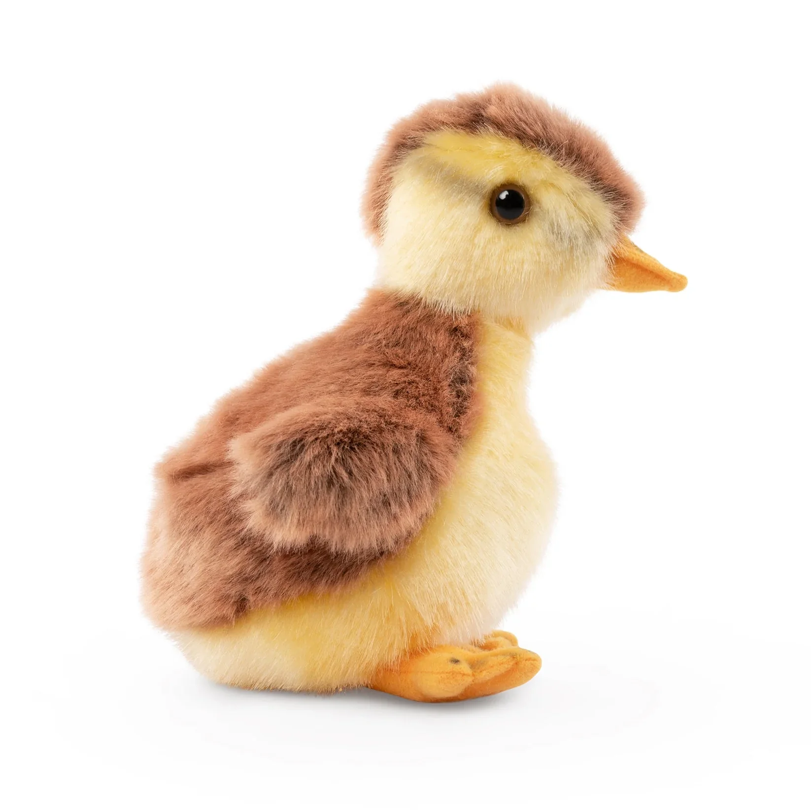 Mallard Duckling | Living Nature | Plushie - Image 4