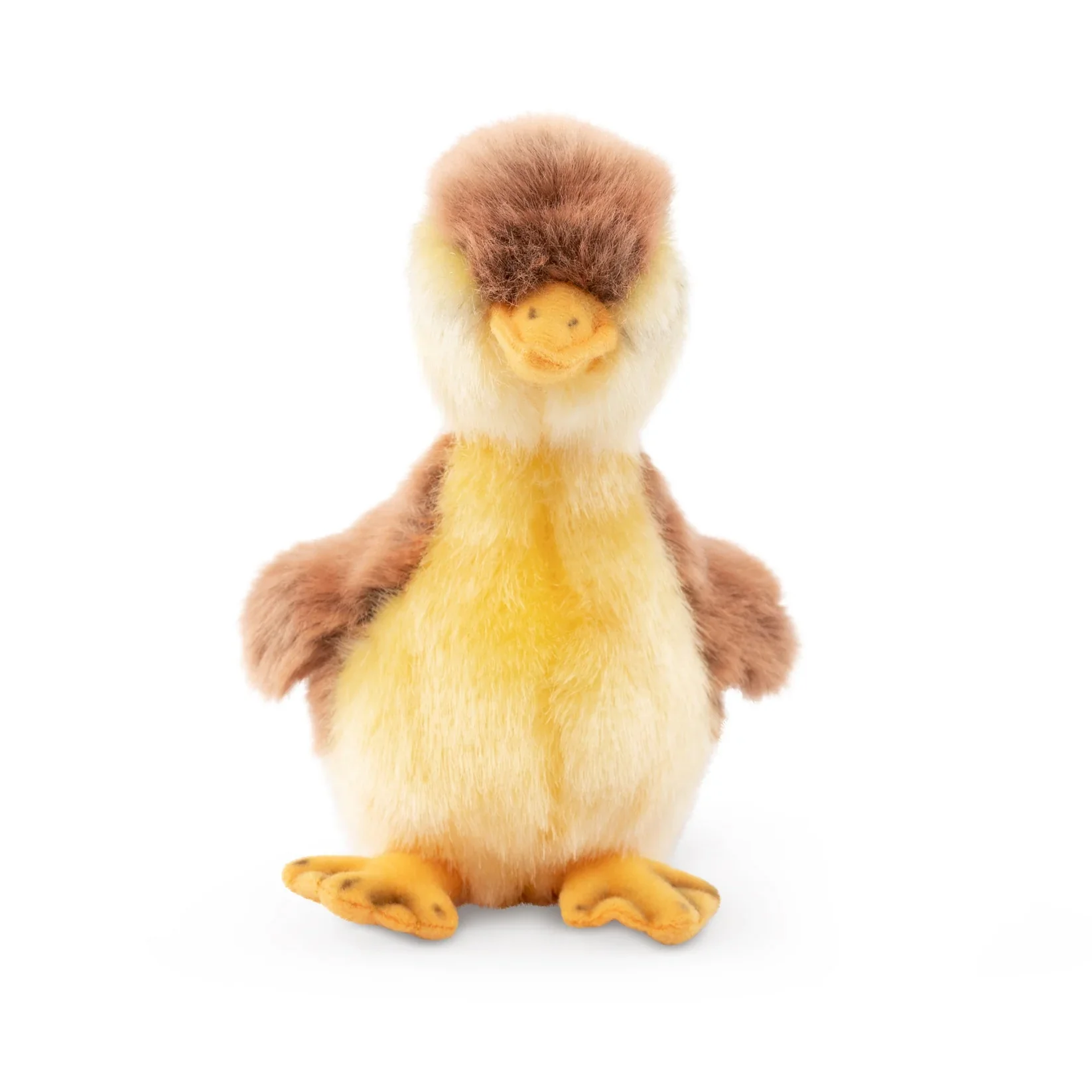 Mallard Duckling | Living Nature | Plushie - Image 5