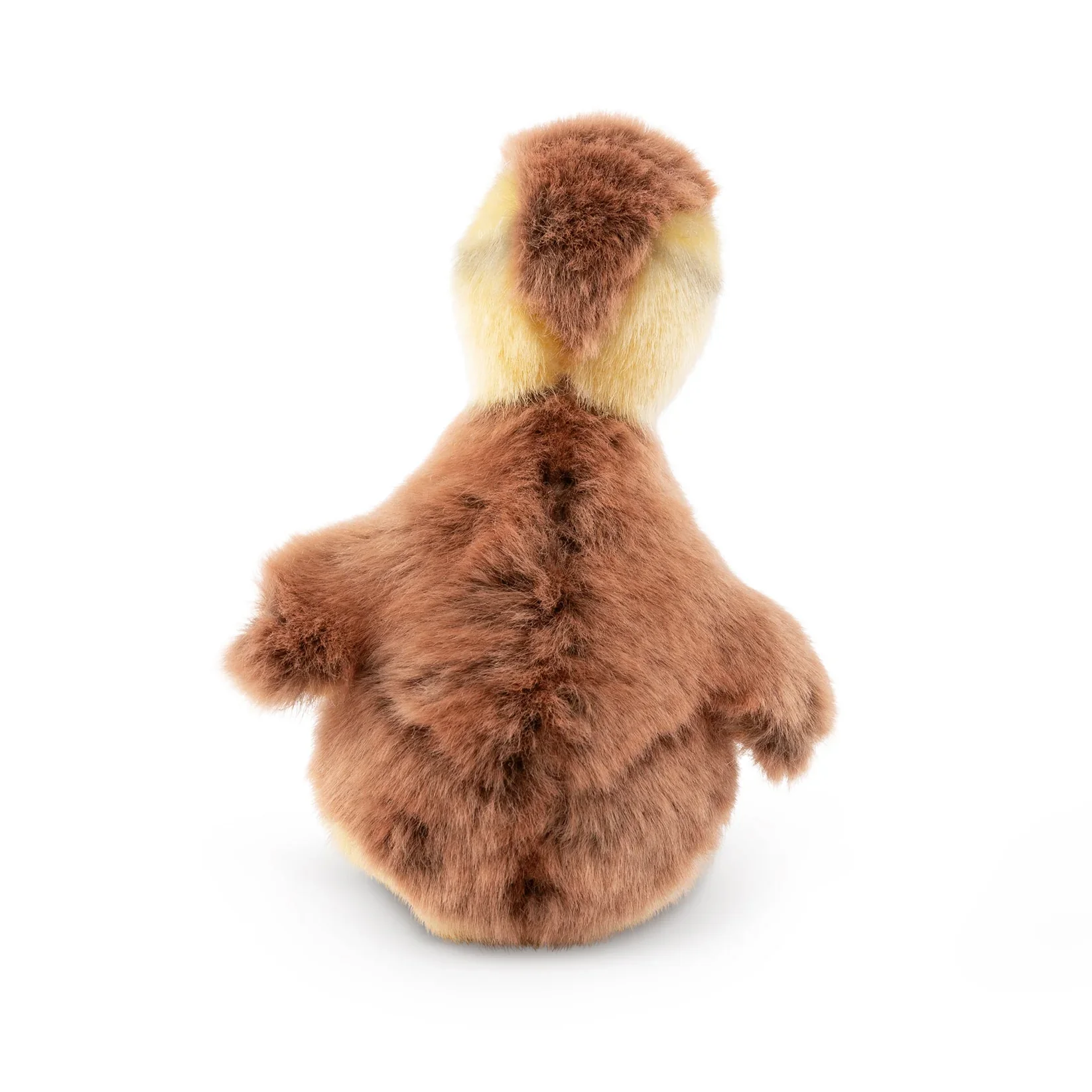 Mallard Duckling | Living Nature | Plushie - Image 7