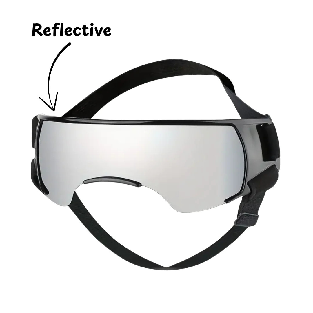 Goggles | Assorted Colours - Image 3