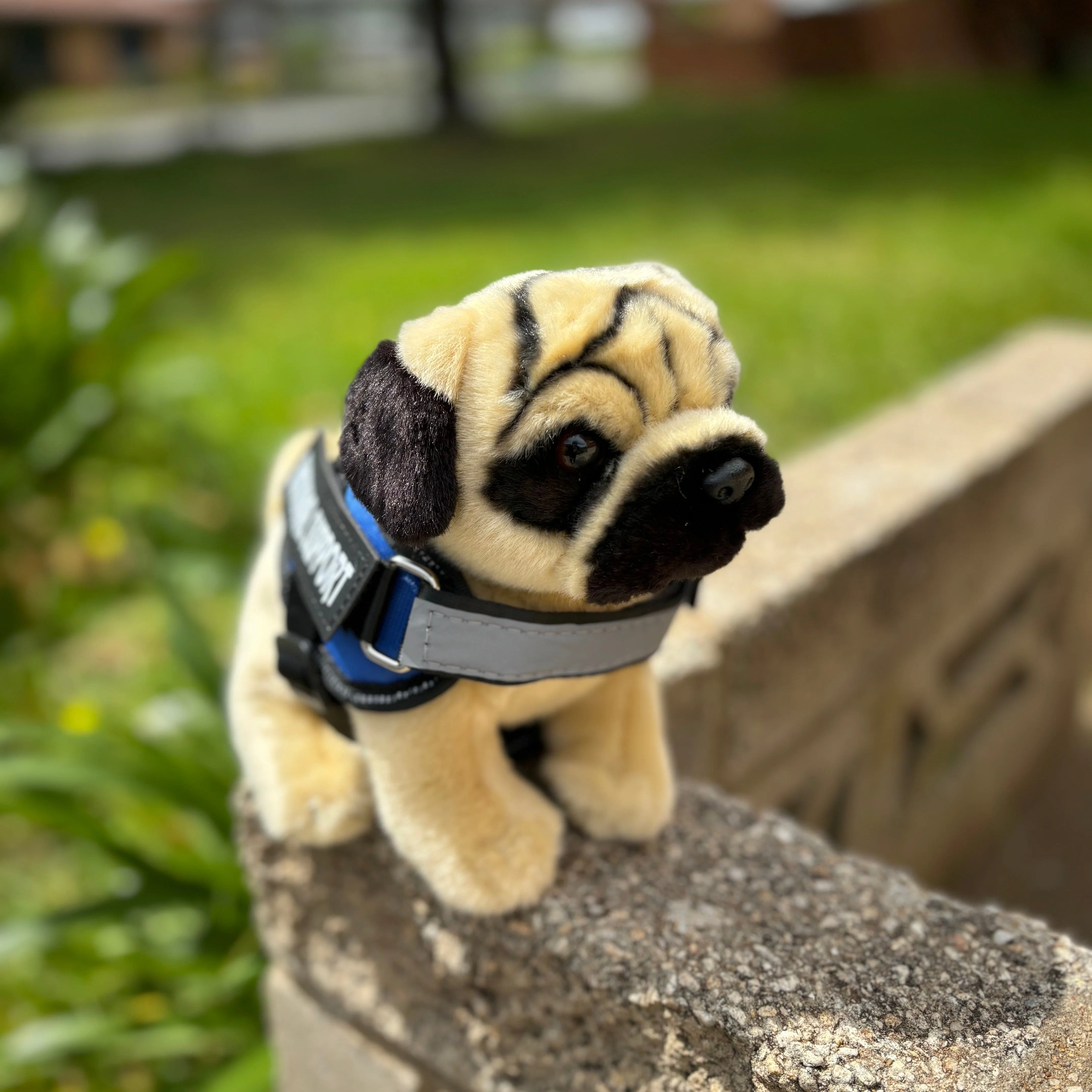 Pug Plush Dog | Living Nature | Plushie - Image 3