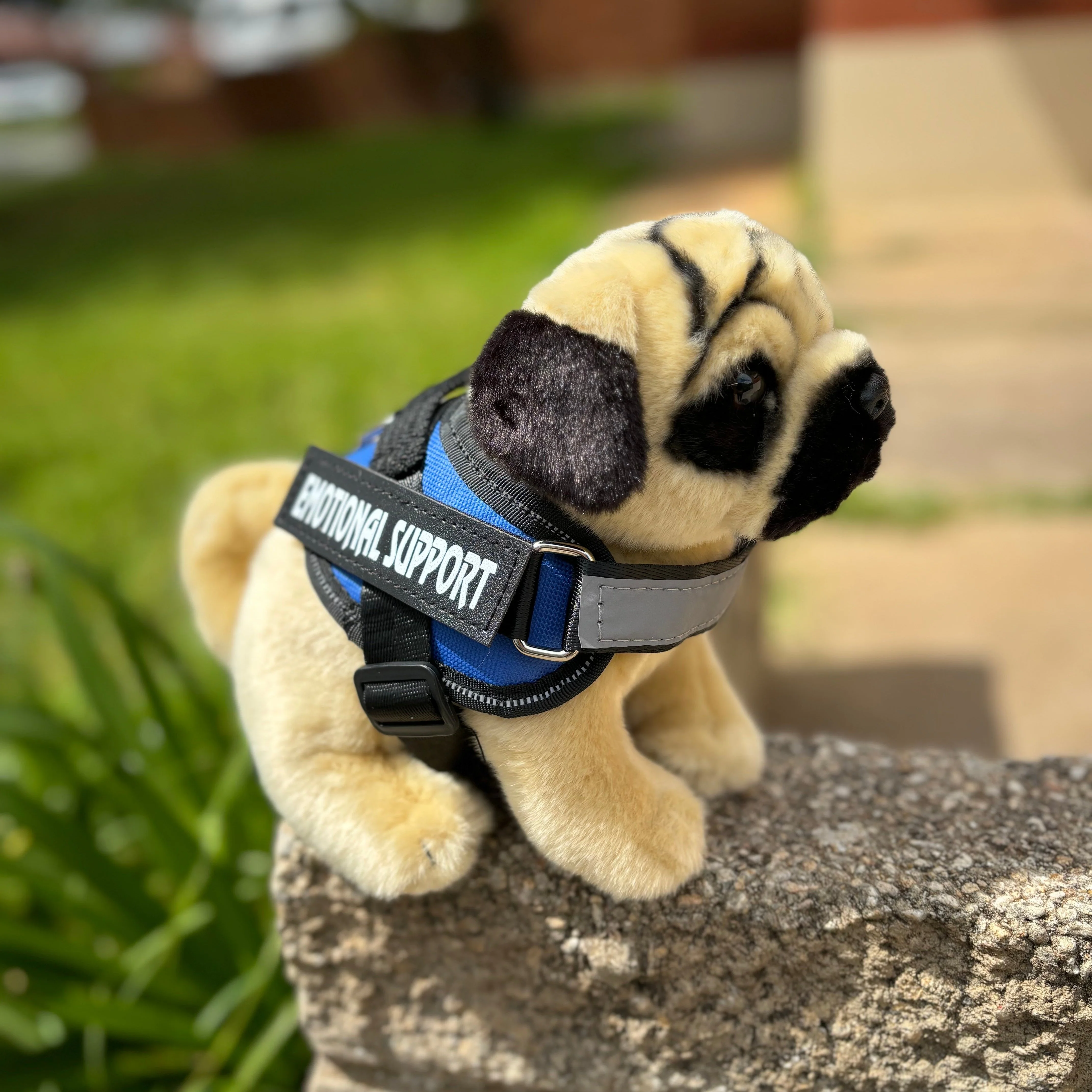 Pug Plush Dog | Living Nature | Plushie - Image 4