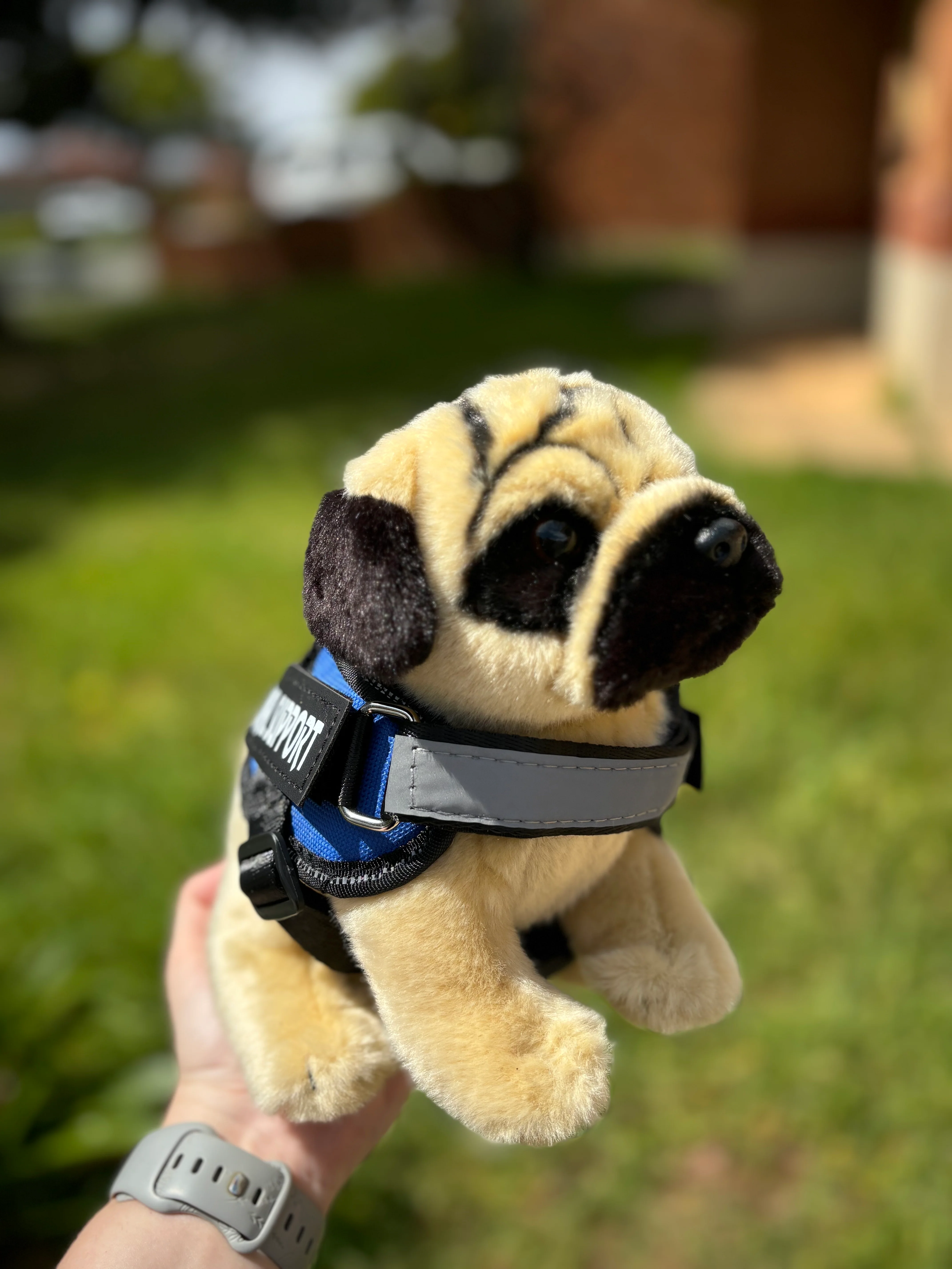Pug Plush Dog | Living Nature | Plushie - Image 5